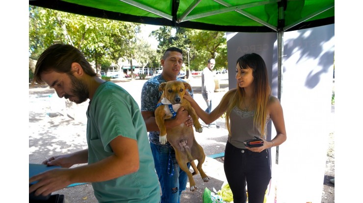 Vacunación y concientización en el Día del animal